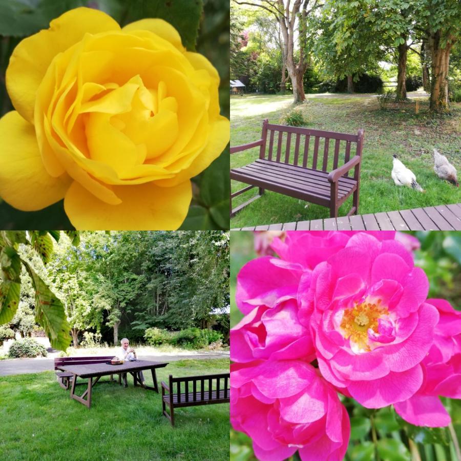 Residence Services Chateau Saint Pierre Oursin Vimont 외부 사진